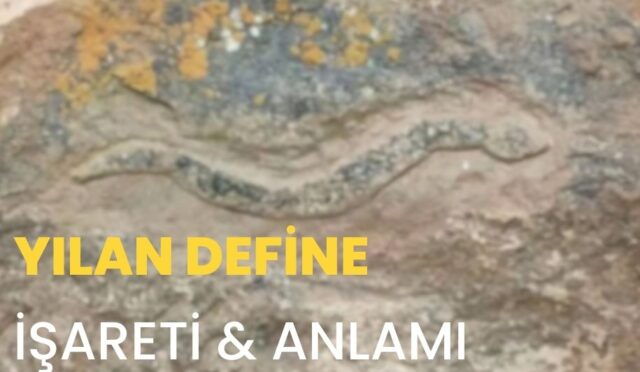 definede-yilan-isareti-ve-anlami